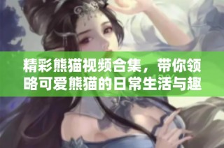 精彩熊猫视频合集，带你领略可爱熊猫的日常生活与趣味瞬间
