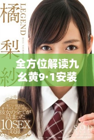 全方位解读九幺黄9·1安装流程及其注意事项