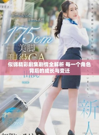 似锦精彩剧集剧情全解析 每一个角色背后的成长与变迁