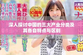 深入探讨中国的三大产业分类及其各自特点与区别