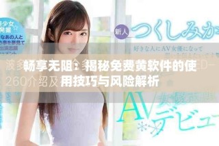 畅享无阻：揭秘免费黄软件的使用技巧与风险解析