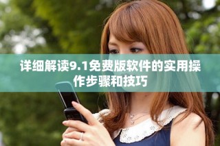 详细解读9.1免费版软件的实用操作步骤和技巧