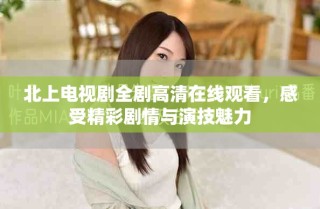 北上电视剧全剧高清在线观看，感受精彩剧情与演技魅力