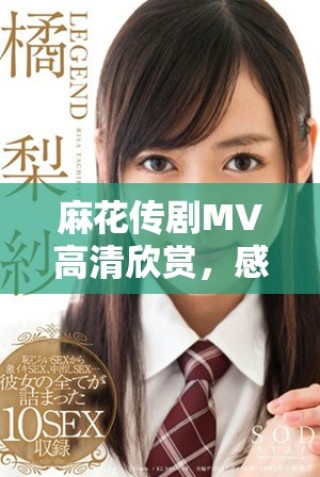 麻花传剧MV高清欣赏，感受美好生活的魅力与乐趣