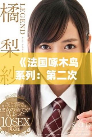 《法国啄木鸟系列：第二次会议带来的新思考与启示》