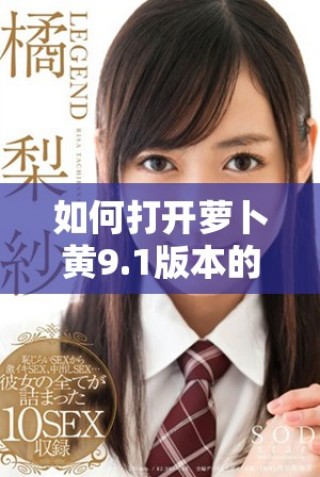 如何打开萝卜黄9.1版本的完整教程与步骤揭秘