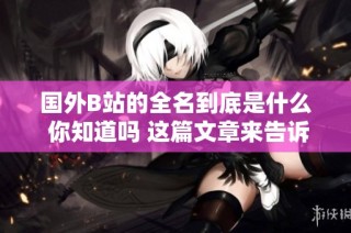 国外B站的全名到底是什么 你知道吗 这篇文章来告诉你