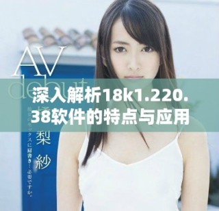 深入解析18k1.220.38软件的特点与应用价值