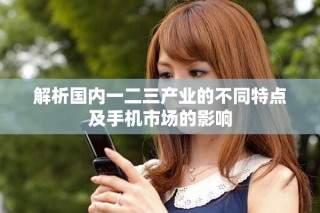 解析国内一二三产业的不同特点及手机市场的影响