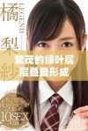 繁茂的绿叶层层叠叠形成广袤无垠的自然景观