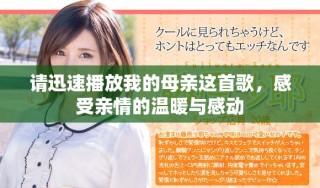 请迅速播放我的母亲这首歌，感受亲情的温暖与感动