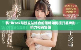 将TikTok与独立站结合的策略如何提升品牌影响力和销售额