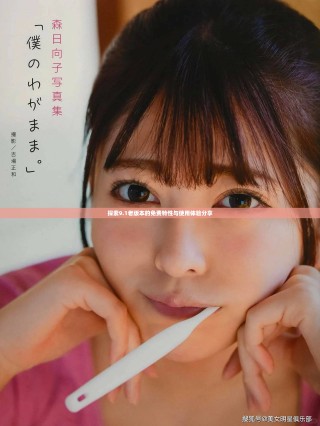 探索9.1老版本的免费特性与使用体验分享