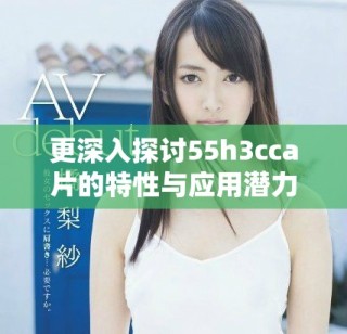 更深入探讨55h3cca片的特性与应用潜力分析