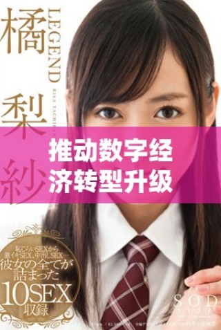 推动数字经济转型升级助力可持续发展新模式探索