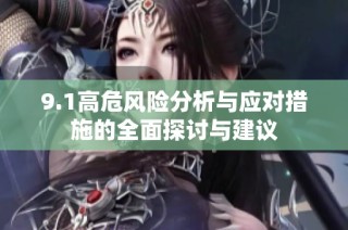 9.1高危风险分析与应对措施的全面探讨与建议