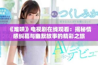 《难哄》电视剧在线观看：揭秘情感纠葛与幽默故事的精彩之旅