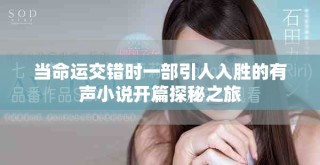 当命运交错时一部引人入胜的有声小说开篇探秘之旅