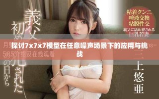 探讨7x7x7模型在任意噪声场景下的应用与挑战