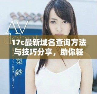 17c最新域名查询方法与技巧分享，助你轻松找到域名