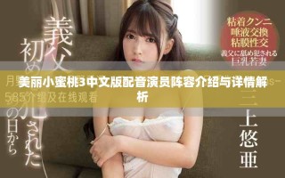 美丽小蜜桃3中文版配音演员阵容介绍与详情解析