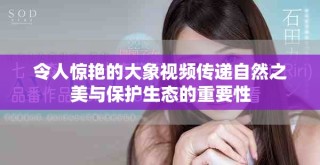 令人惊艳的大象视频传递自然之美与保护生态的重要性