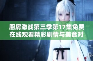厨房激战第三季第17集免费在线观看精彩剧情与美食对决解析