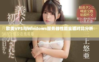 欧美VPS与Windows服务器性能全面对比分析 