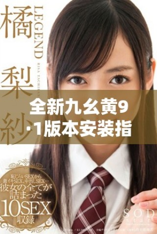 全新九幺黄9·1版本安装指南及注意事项详解