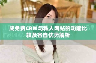 成免费CRM与私人网站的功能比较及各自优势解析