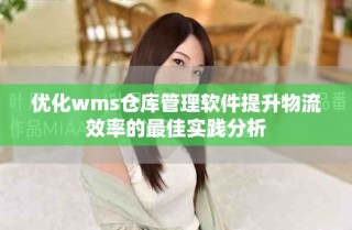 优化wms仓库管理软件提升物流效率的最佳实践分析