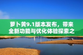 萝卜黄9.1版本发布，带来全新功能与优化体验探索之旅