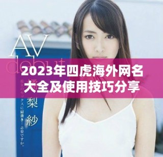 2023年四虎海外网名大全及使用技巧分享
