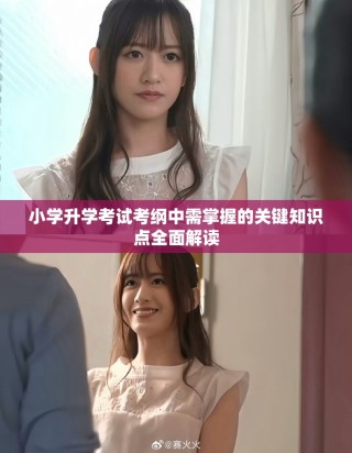 小学升学考试考纲中需掌握的关键知识点全面解读