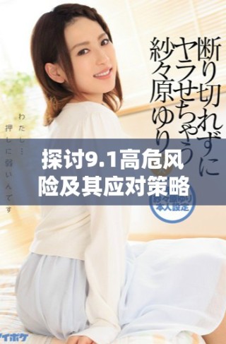 探讨9.1高危风险及其应对策略，保障企业安全稳定运行
