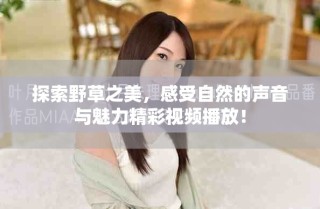 探索野草之美，感受自然的声音与魅力精彩视频播放！
