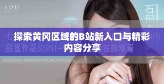 探索黄冈区域的B站新入口与精彩内容分享