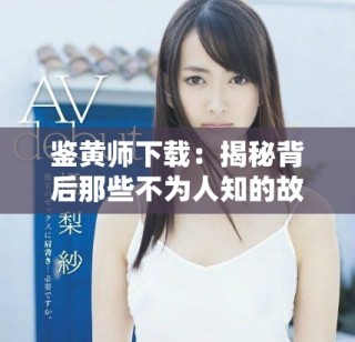 鉴黄师下载：揭秘背后那些不为人知的故事与挑战