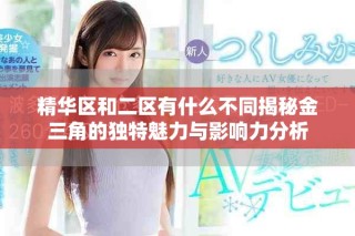 精华区和二区有什么不同揭秘金三角的独特魅力与影响力分析