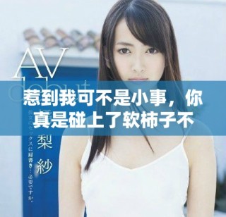 惹到我可不是小事，你真是碰上了软柿子不知分寸呀