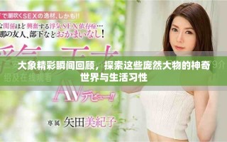 大象精彩瞬间回顾，探索这些庞然大物的神奇世界与生活习性