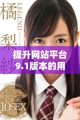 提升网站平台9.1版本的用户体验与功能优化全面解析