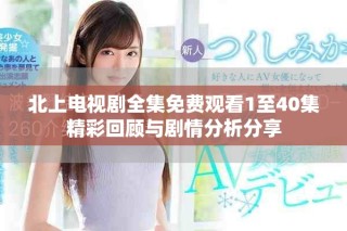 北上电视剧全集免费观看1至40集精彩回顾与剧情分析分享