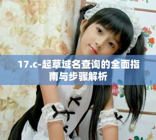 17.c-起草域名查询的全面指南与步骤解析