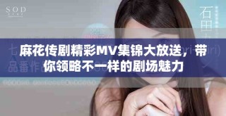 麻花传剧精彩MV集锦大放送，带你领略不一样的剧场魅力