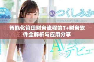 智能化管理财务流程的T+财务软件全解析与应用分享