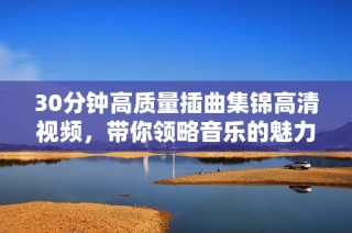 30分钟高质量插曲集锦高清视频，带你领略音乐的魅力与风采