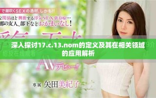 深入探讨17.c.13.nom的定义及其在相关领域的应用解析