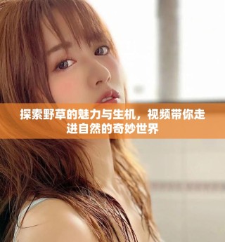 探索野草的魅力与生机，视频带你走进自然的奇妙世界