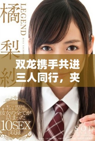 双龙携手共进三人同行，夹心饼的美味探索之旅
